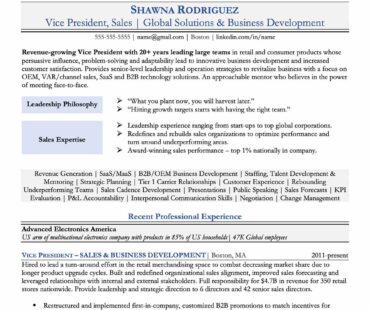 Preview Vice President of SaaS Sales
