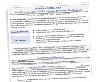 Preview Vice President of SaaS Sales