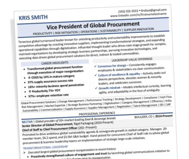 Preview Vice President of Global Procurement / Supply Chain