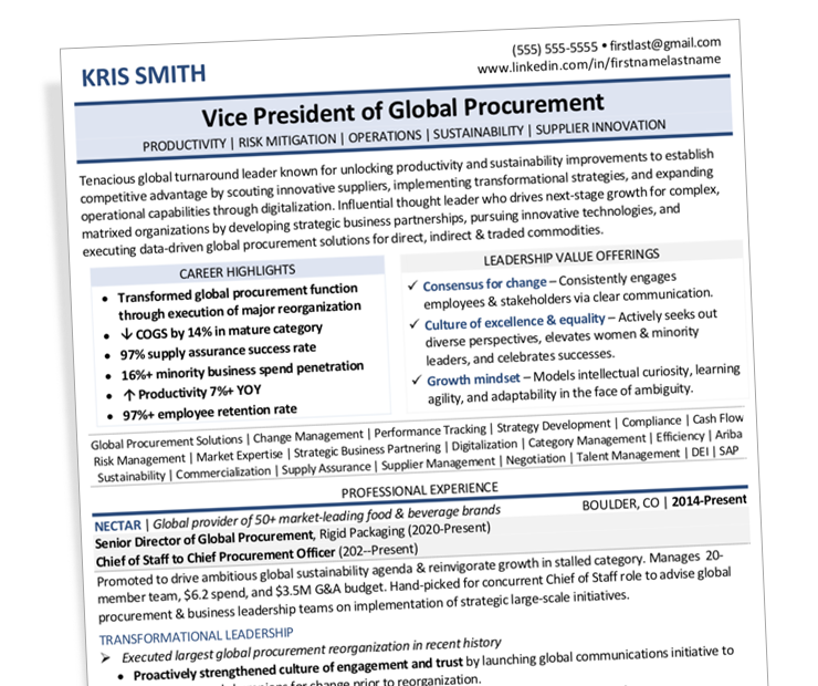 Preview Vice President of Global Procurement / Supply Chain