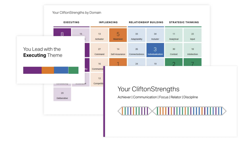 Example of CliftonStrengths Results to help find skills for executive resume