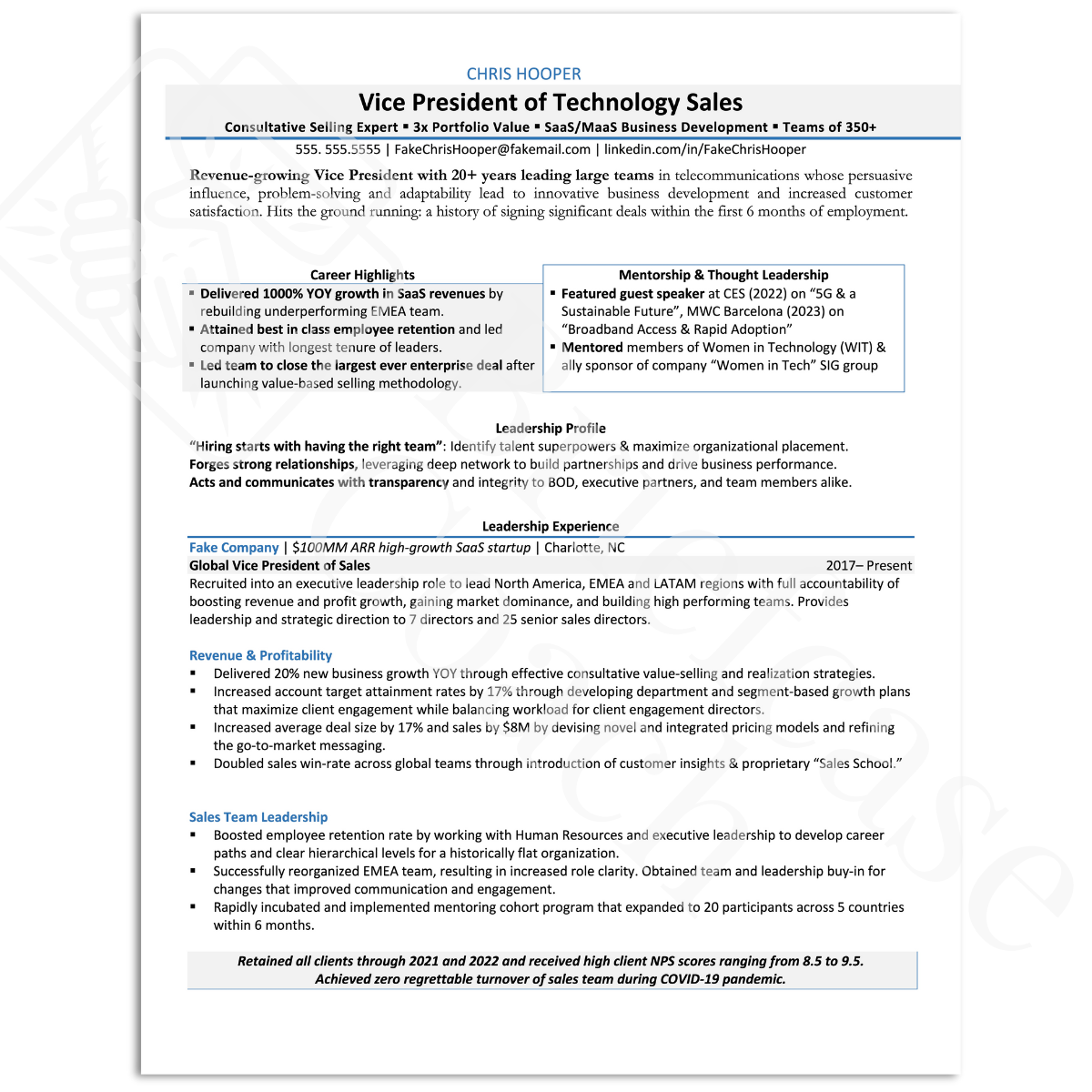 Sample Resumes Briefcase Coach Resume Writing Services